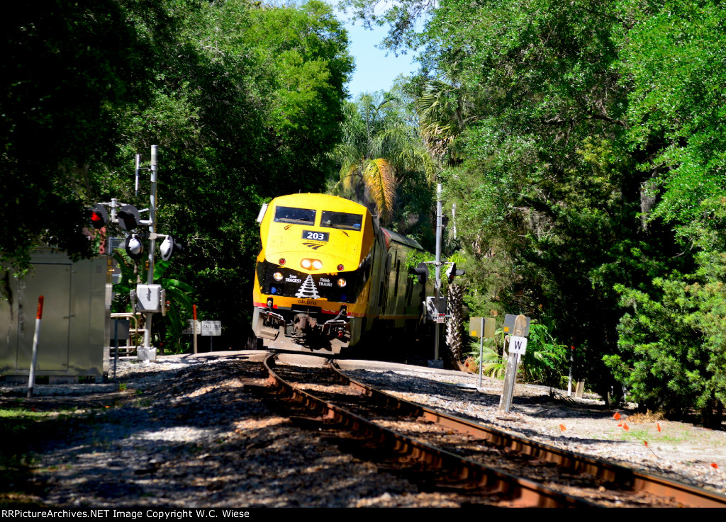 203 - Amtrak Silver Meteor